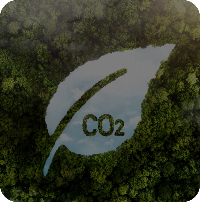 green-impact