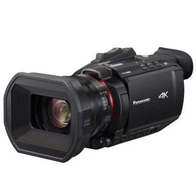 Proffesional Camcorder with Versatile 4k 60p Performance, Double SD Card Slot, Built In ND Filters (AG-CX6ED, Black)